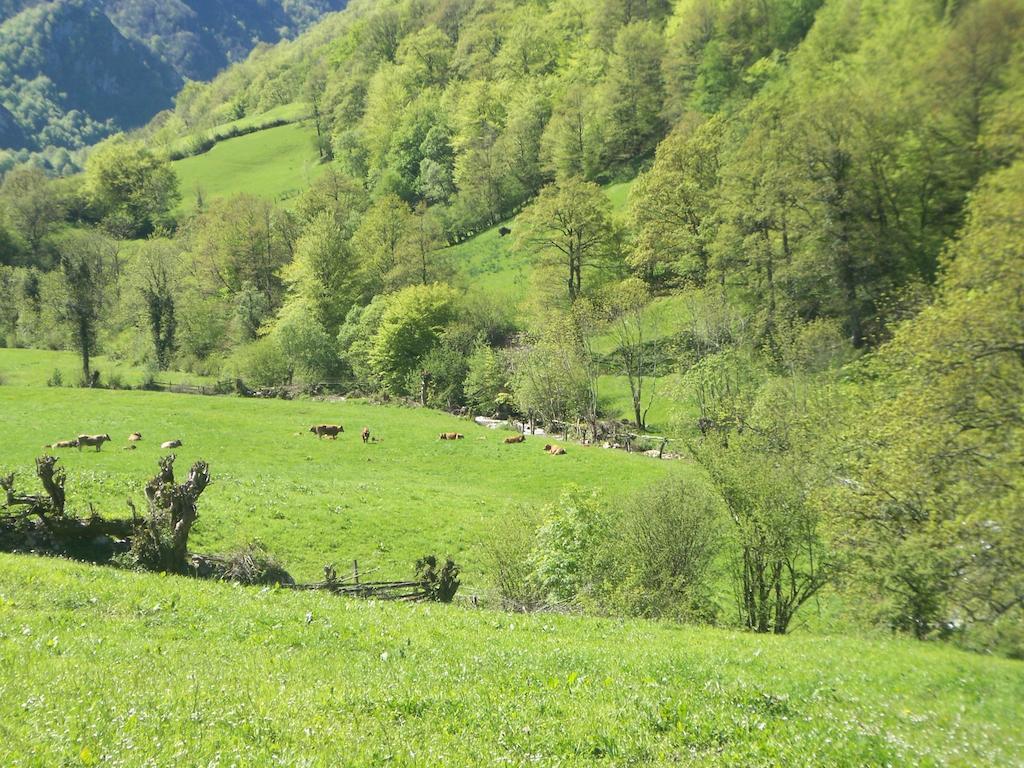 فيلا Venta La Aurora Beleño الغرفة الصورة